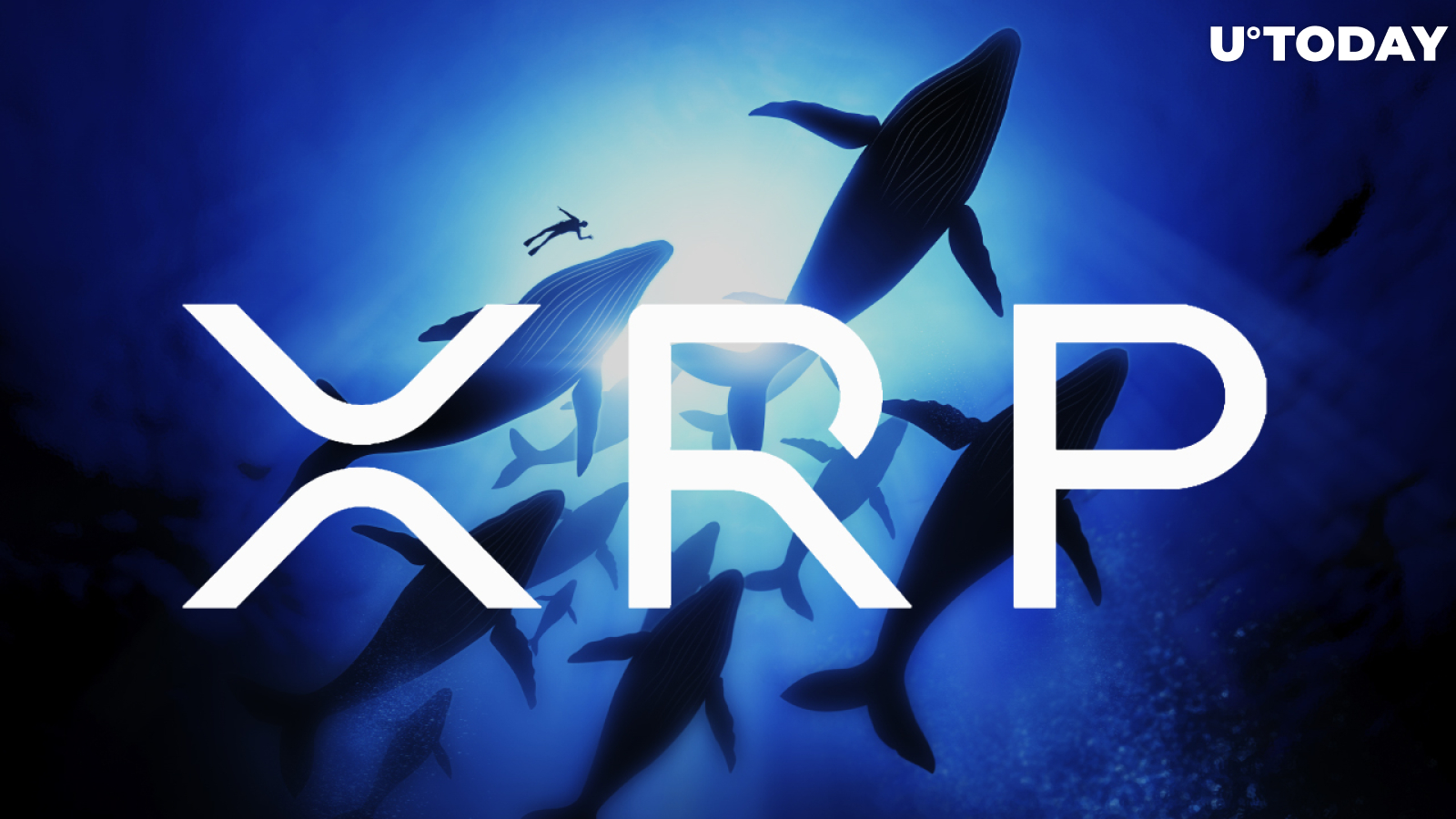 XRP Whales Are Moving $24 Million Worth of Tokens from Exchanges Amid 6% Rally