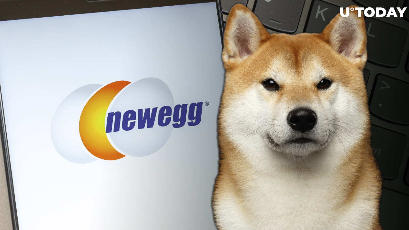 Here's When and How Newegg Is Going to Accept Shiba Inu