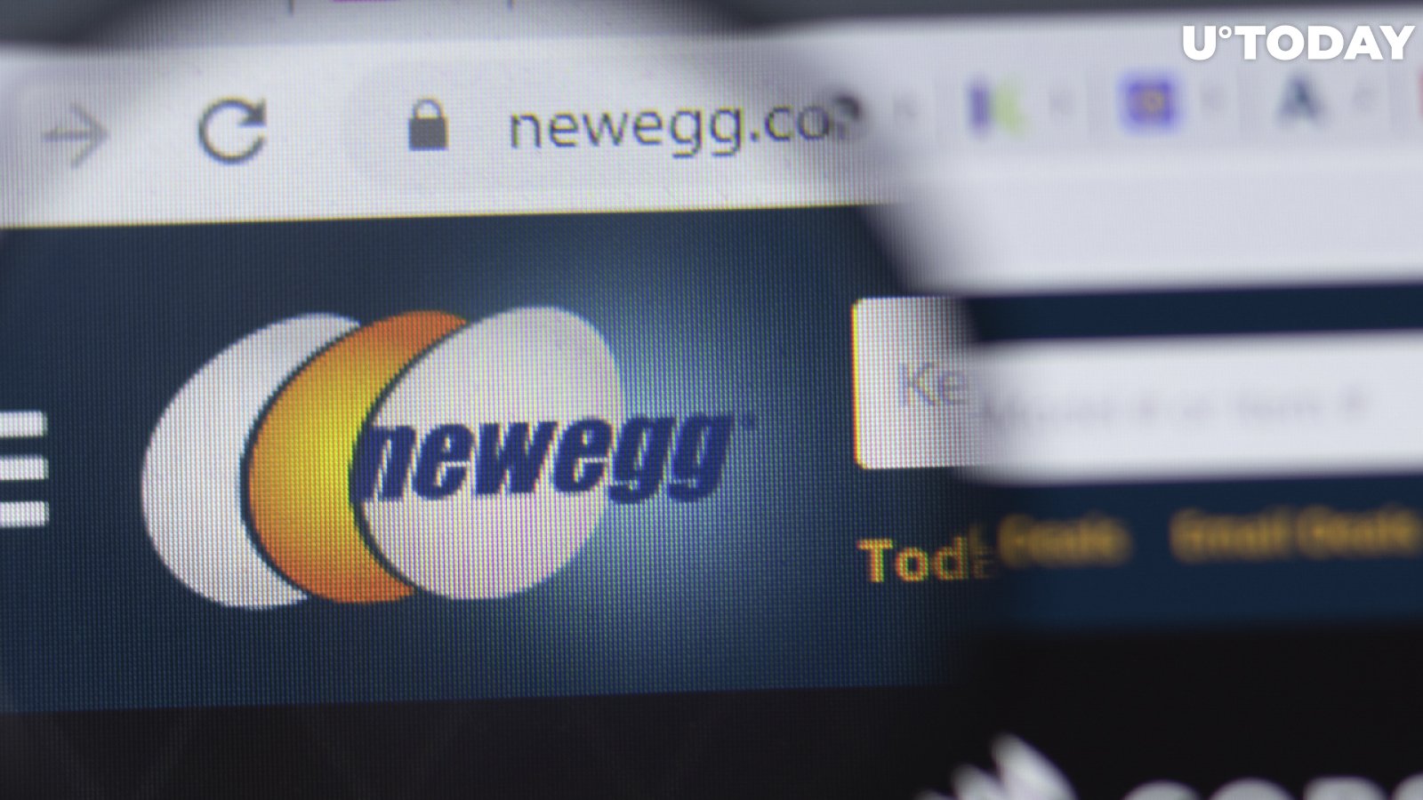 Newegg Confirms That It Will Accept Shiba Inu 