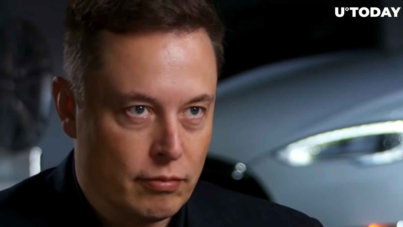 Elon Musk Loses Entire Dogecoin Market Cap in One Day