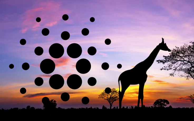Cardano-based 3air to Bring Telecom to African Countries: Details