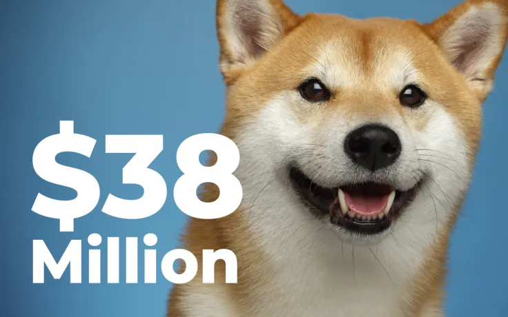 New Shiba Whale Buys $38 Million Worth of Tokens