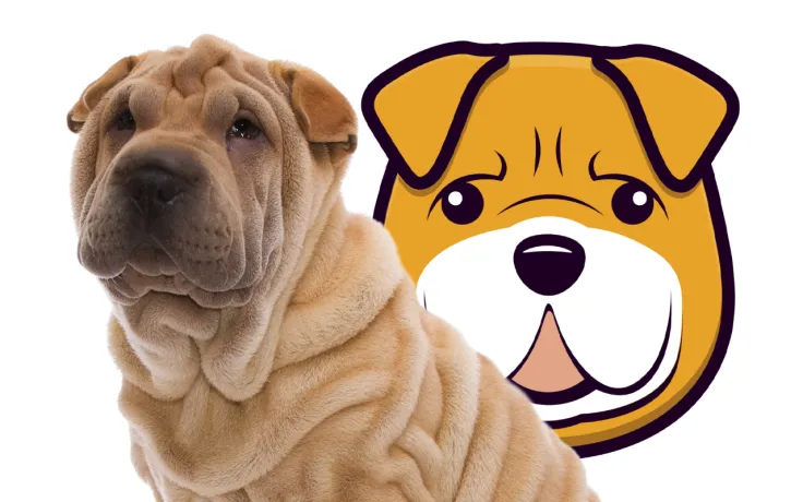 New Memetic Coin, Shar Pei Token (SHARPEI), Shares Tokenomic Details