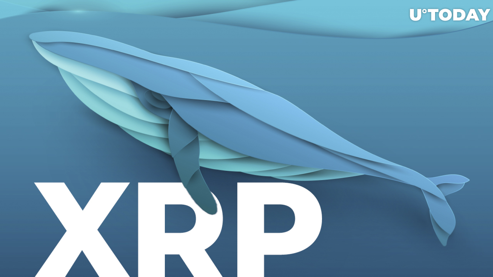 XRP Whale Withdraws 150 Million Coins from Binance