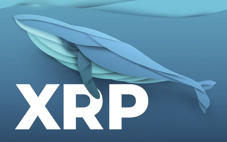 XRP Whale Withdraws 150 Million Coins from Binance