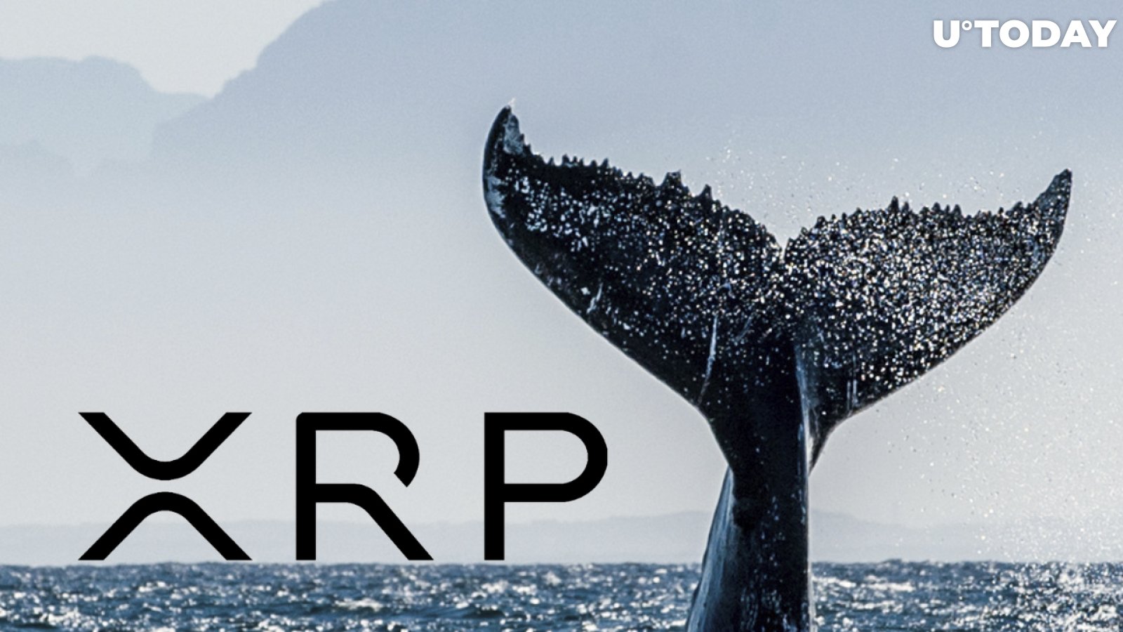 $100 Million Worth of XRP Moved By Whales Amid 3% Correction