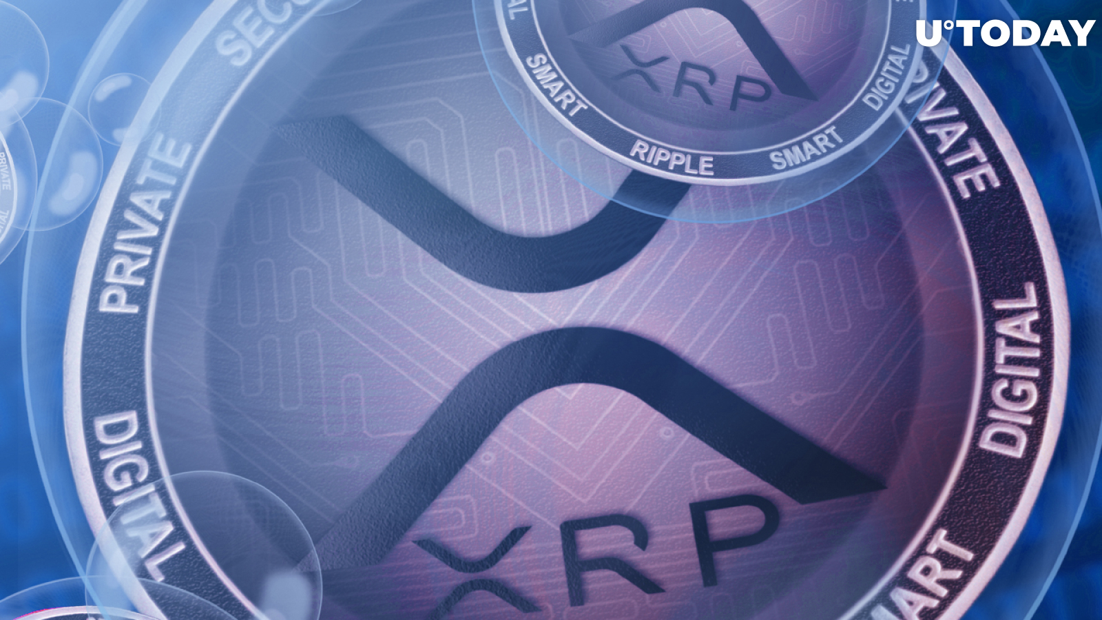 80 Million XRP Transferred Within One Hour, Here's What It Was