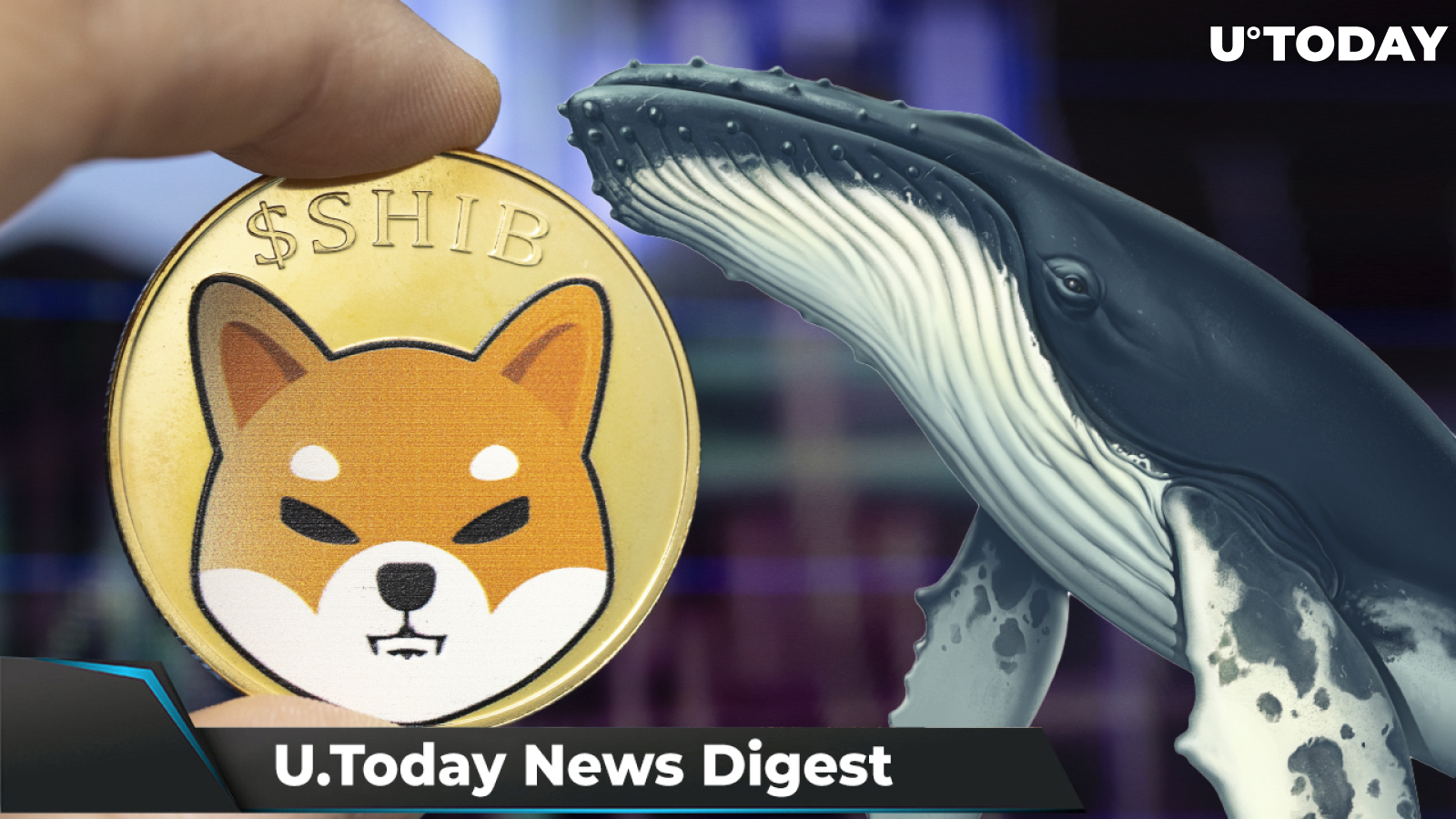 SHIB to Start Trading on Bitstamp, Whales Add 1,899,990 MATIC, Shiba Inu Games Teams Up with PlaySide Studios: Crypto News Digest by U.Today