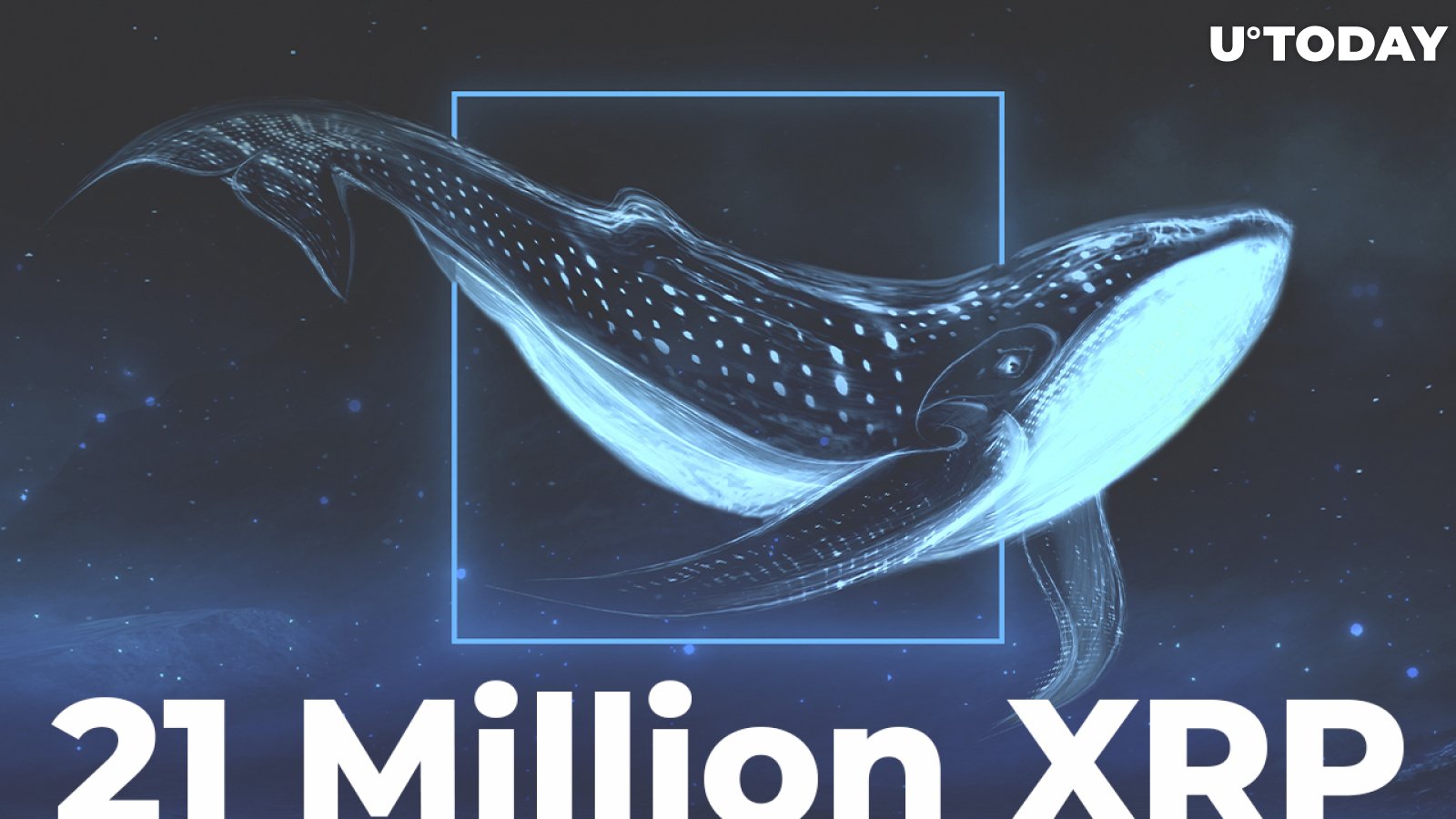 Whale Moves 21 Million XRP to Binance as Price Drops to $0.7