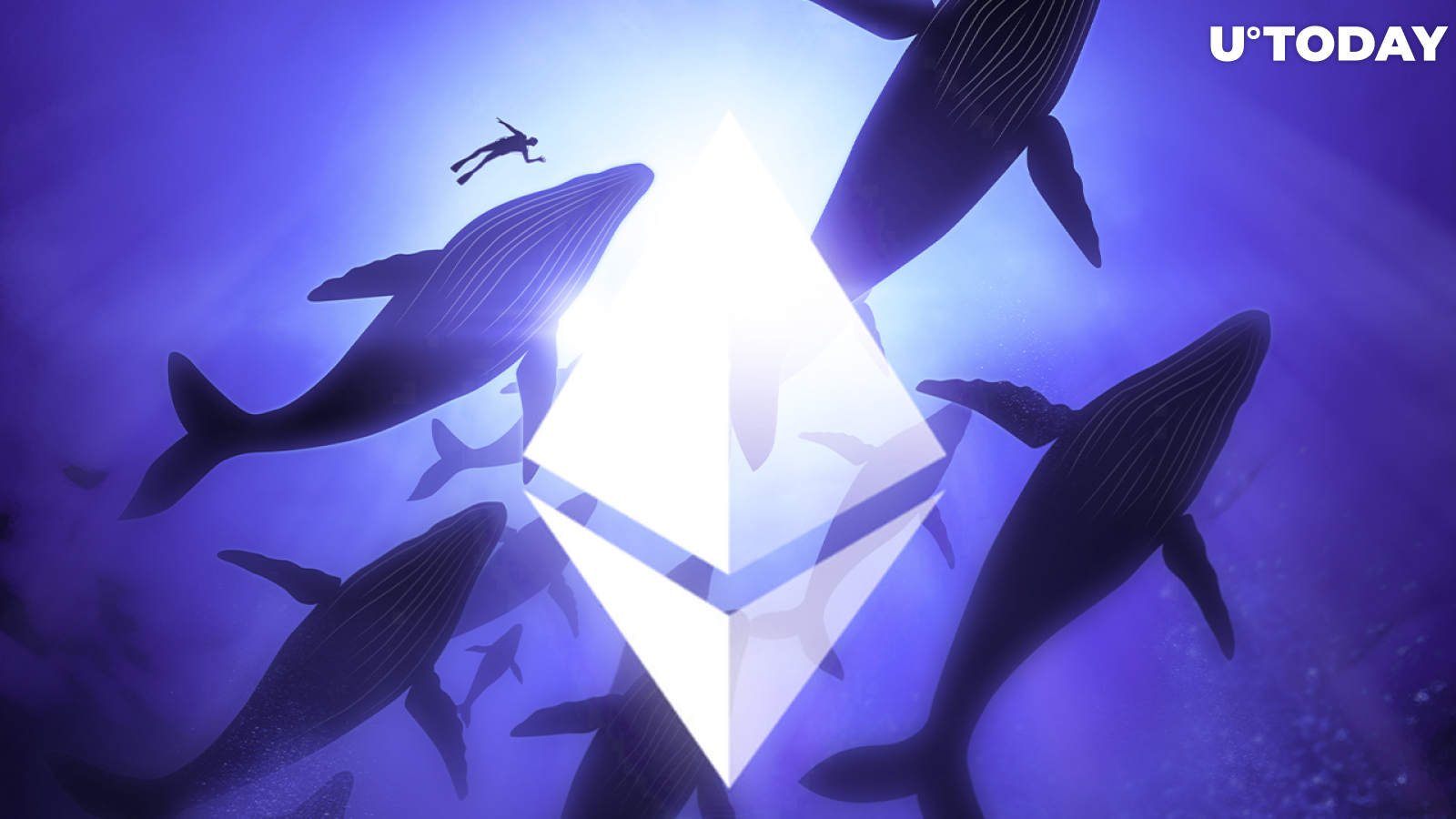 Top 10 Non-Exchange ETH Whales Hold Way More ETH Than Top Exchange Wallets