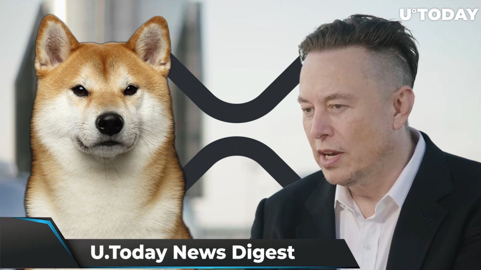 Musk Named Person of the Year, SHIB More Popular Than XRP and ADA in Australia, 127.3 Million XRP on the Move: Crypto News Digest by U.Today