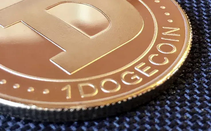 Dogecoin Whale Transactions Surge as Price Declines