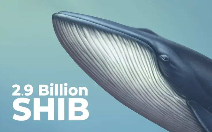 SHIB Whale Adds 2.9 Billion SHIB to Their 31.3 Billion Holdings