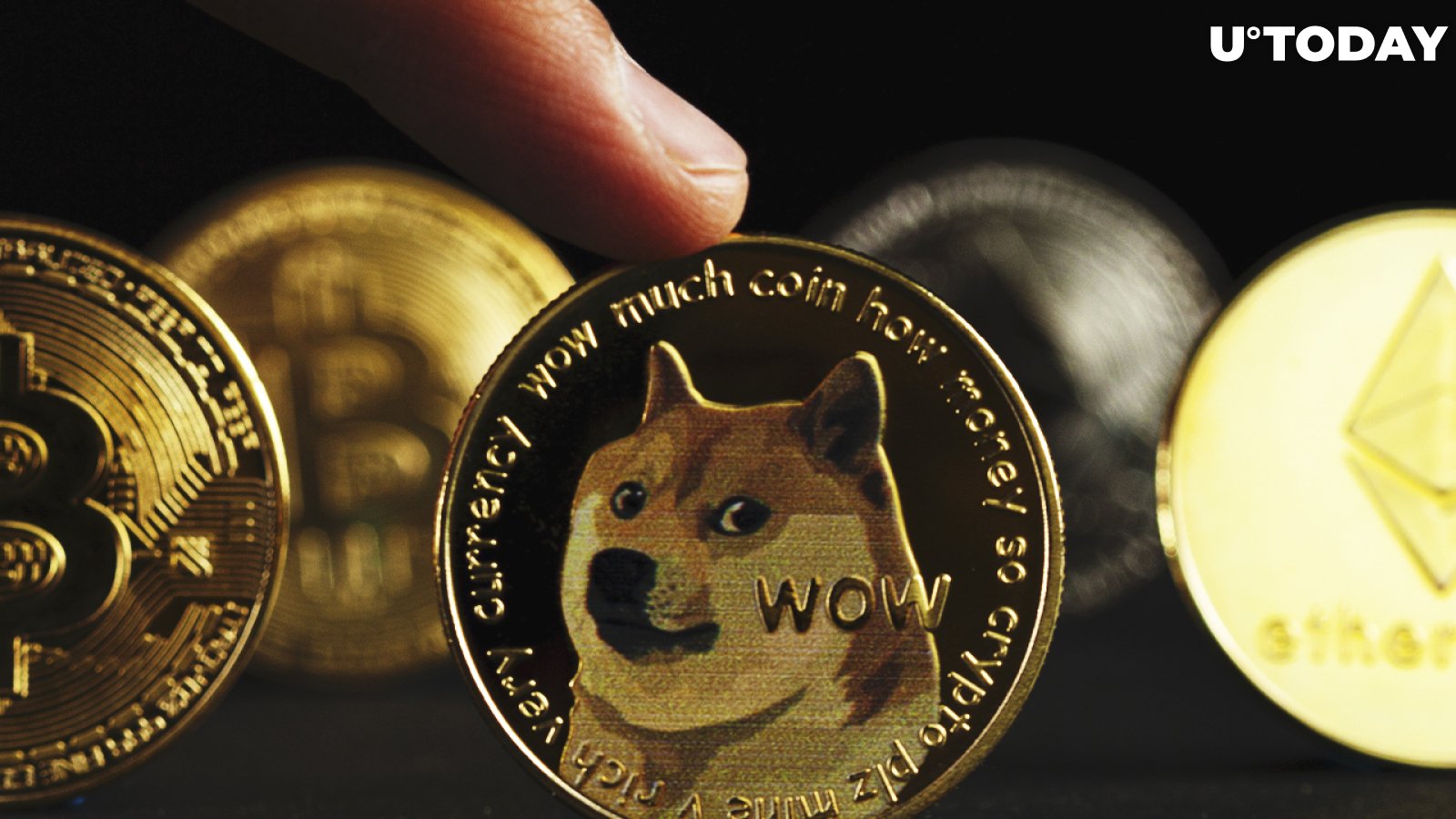 Dispose of Dogecoin and Meme Stocks: North Island Chairman's Outlook for 2022