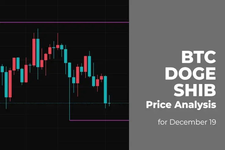 BTC, DOGE and SHIB Price Analysis for December 19