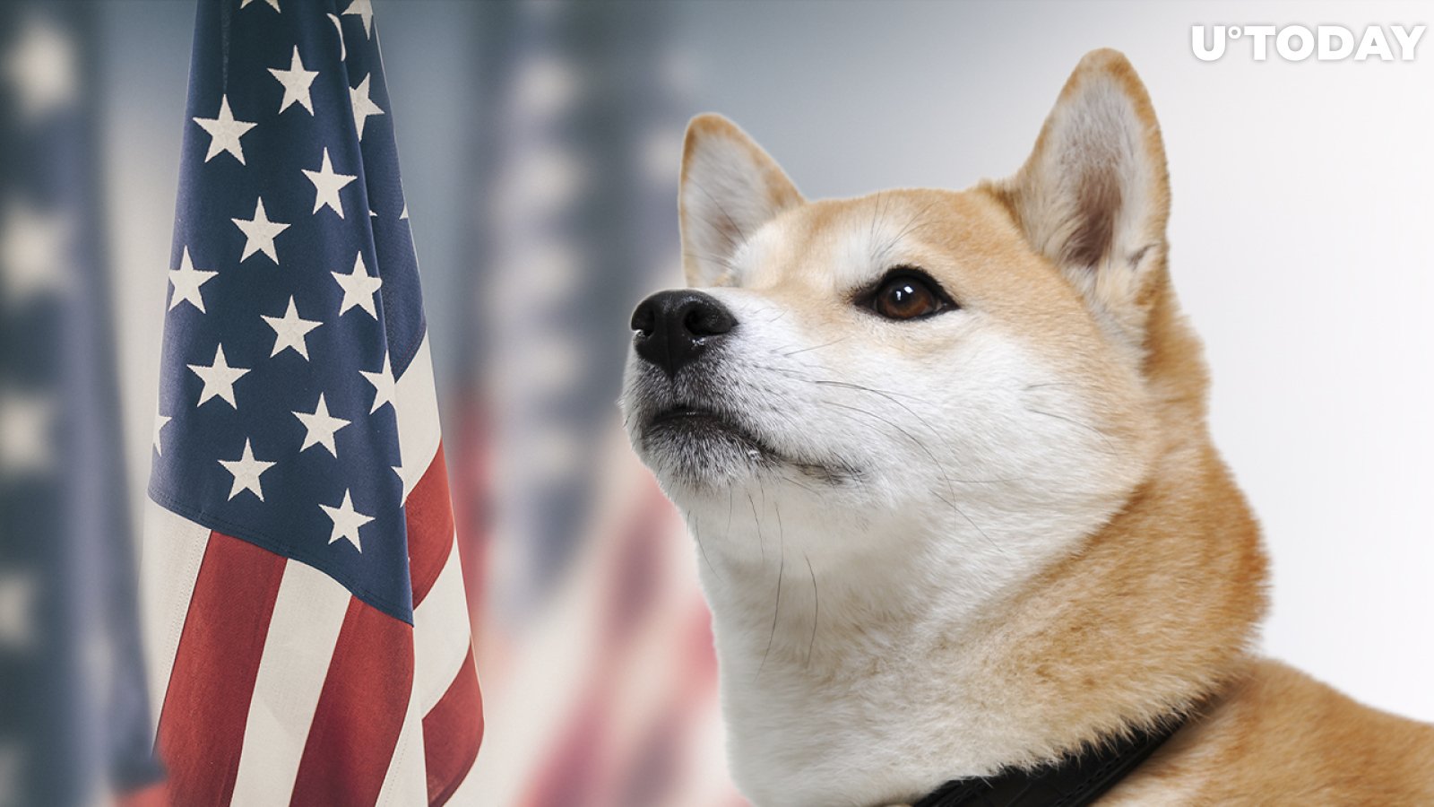 Dogecoin Creator and Elon Musk Team Up to Criticize US Government