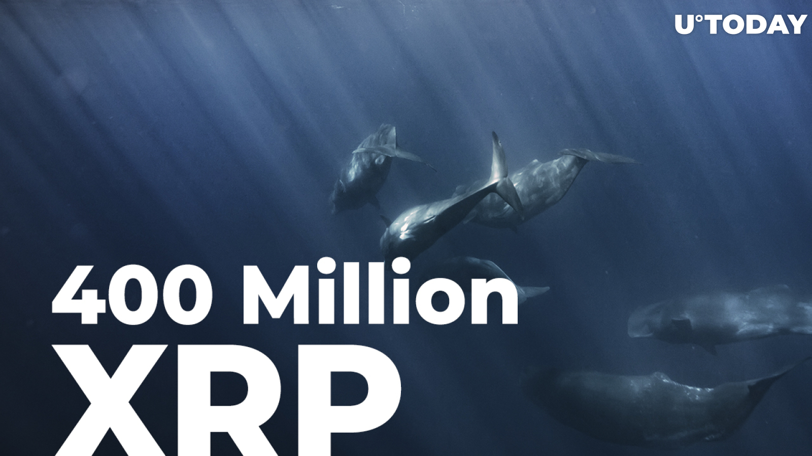 400 Million XRP Sent by Ripple, Anon Whales and ODL Platforms