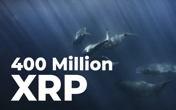 400 Million XRP Sent by Ripple, Anon Whales and ODL Platforms