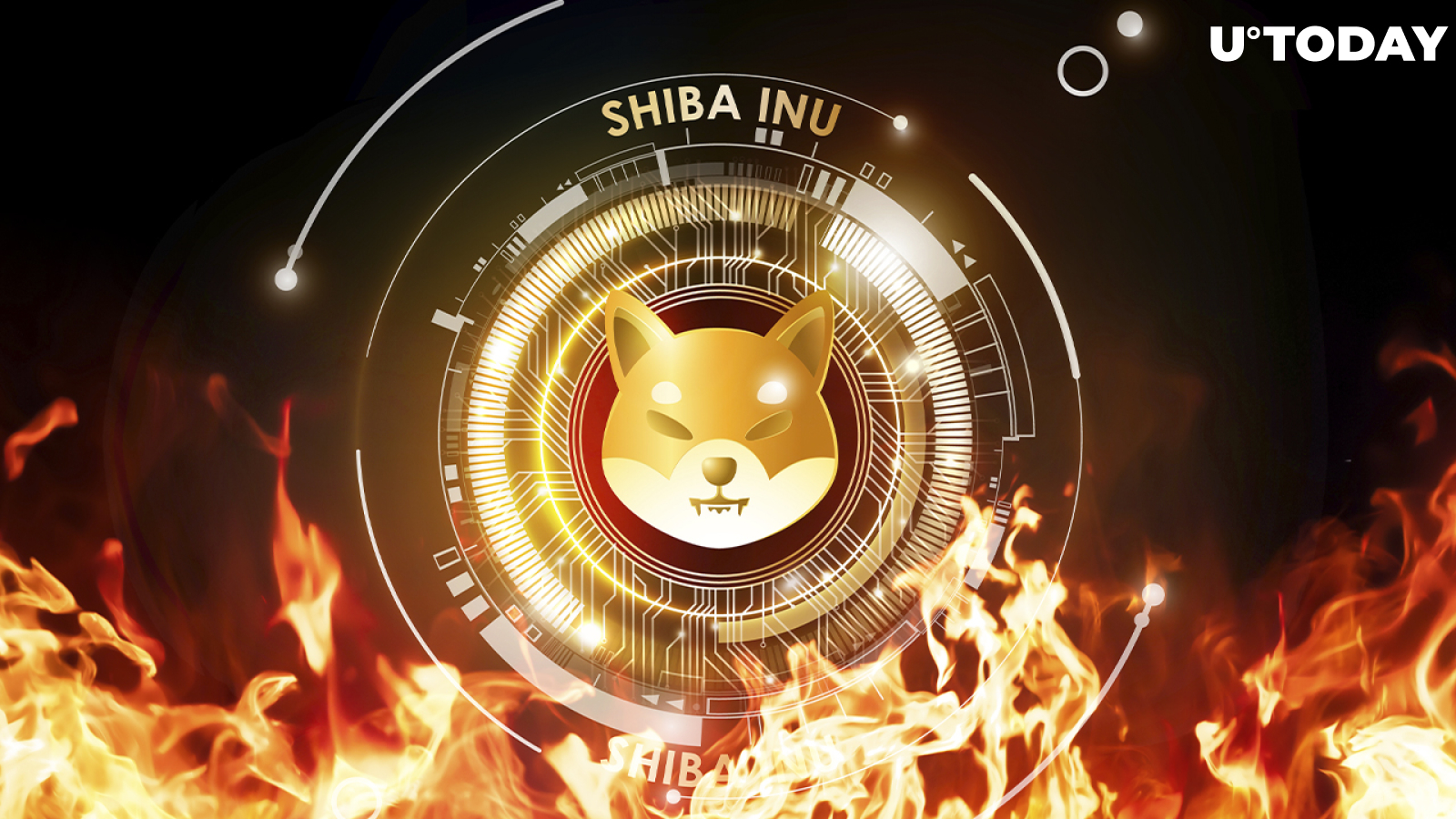 how much shiba will be burned , when is shiba inu burning coins