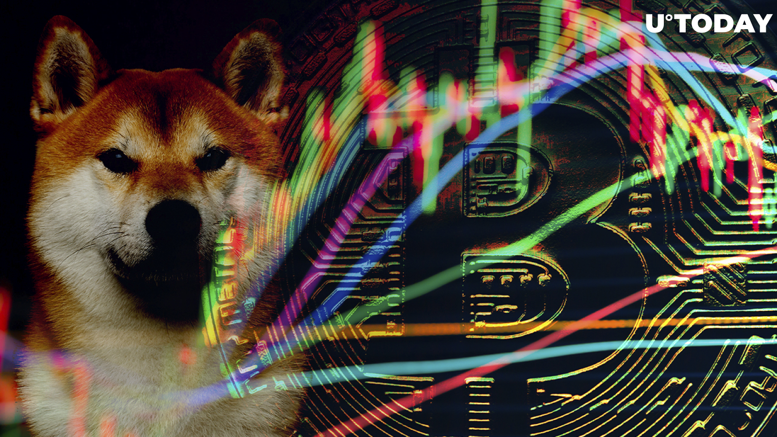 Bitcoin, Shiba Inu, Algorand Up as Cryptomarket Rises on Positive Investor Sentiment