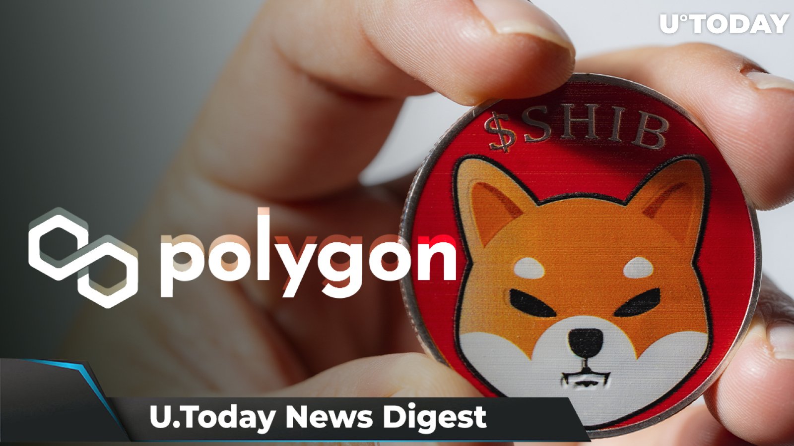 SHIB Tech Indicator Shows Reversal After Predicting 200% Run, 100% of MATIC Holders in Profit, 706 Million SHIB Burned in 24 Hours: Crypto News Digest by U.Today