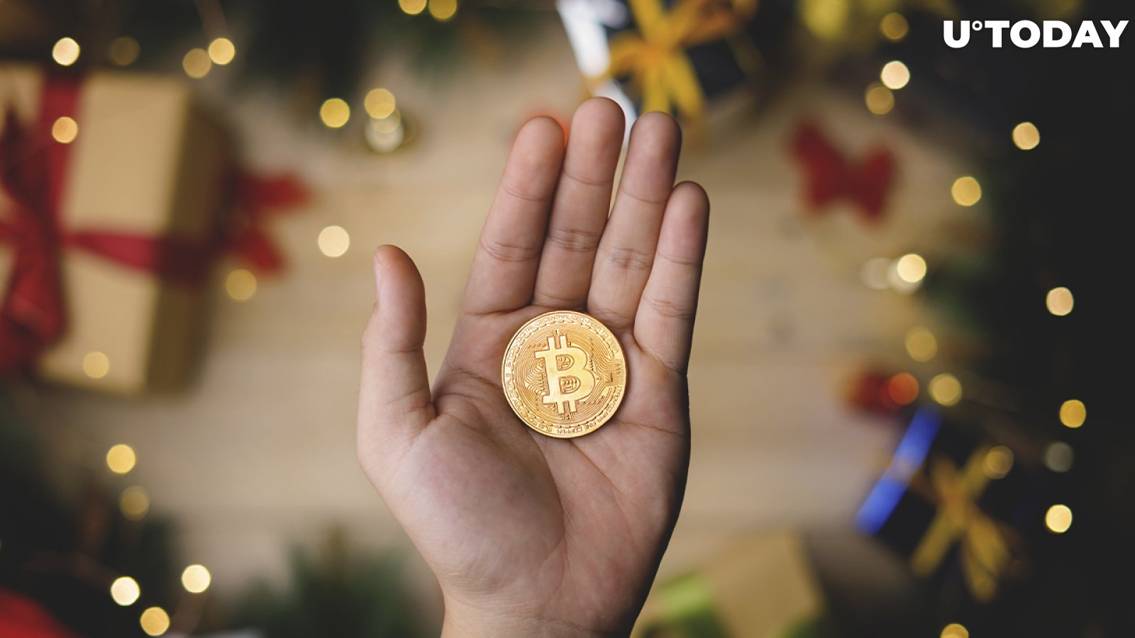 Bitcoin for $24,000, Ethereum for $600: Here's How Much Cryptocurrencies Have Gained Since Christmas 2020