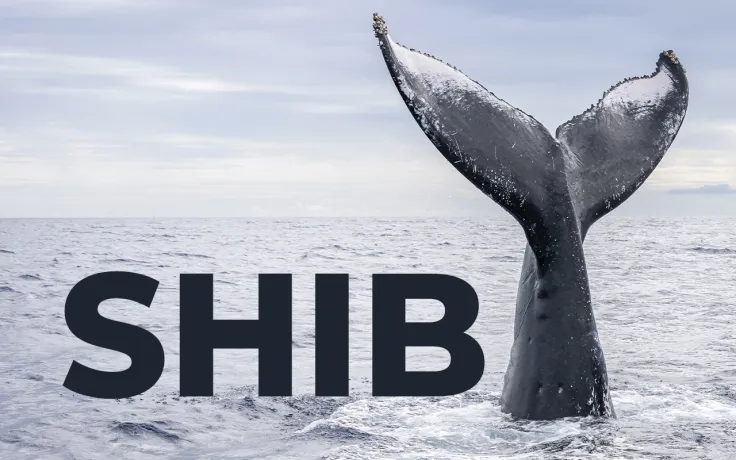 Shiba Inu Whales Hold 26% of Supply as Net Flow Rises by 176%