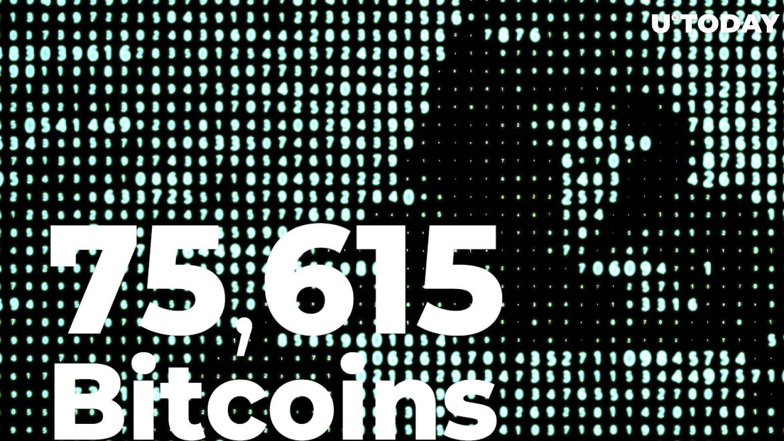 75,615 Bitcoins Wired by Anonymous Wallets as BTC Dives Below $50,000