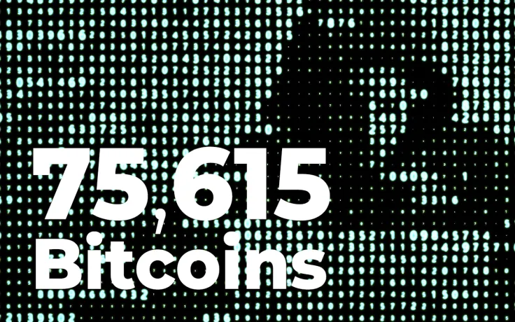 75,615 Bitcoins Wired by Anonymous Wallets as BTC Dives Below $50,000