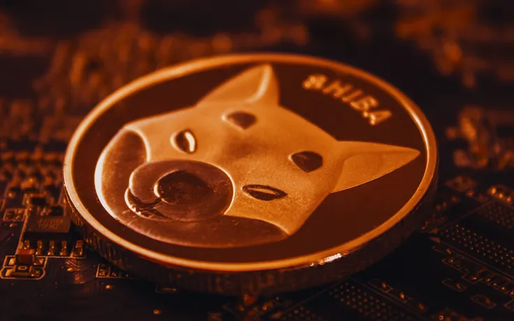 Shiba Inu's 2022 Burn Roadmap Has Been Released: Details