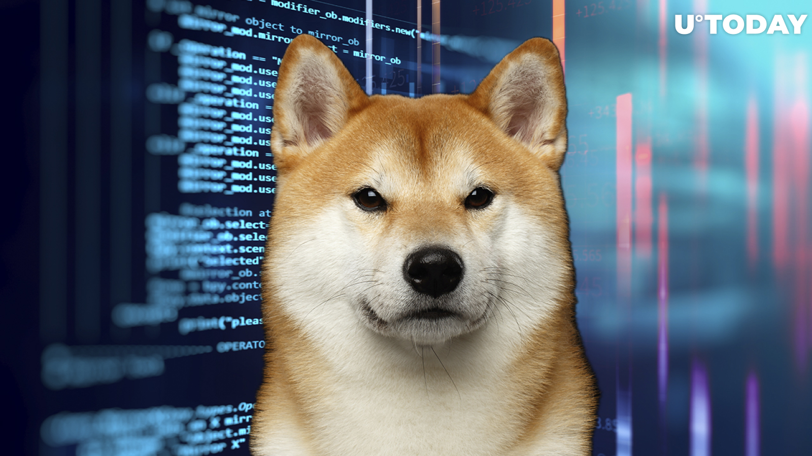 Shiba Inu Developers Teasing Big Surprise in Early 2022