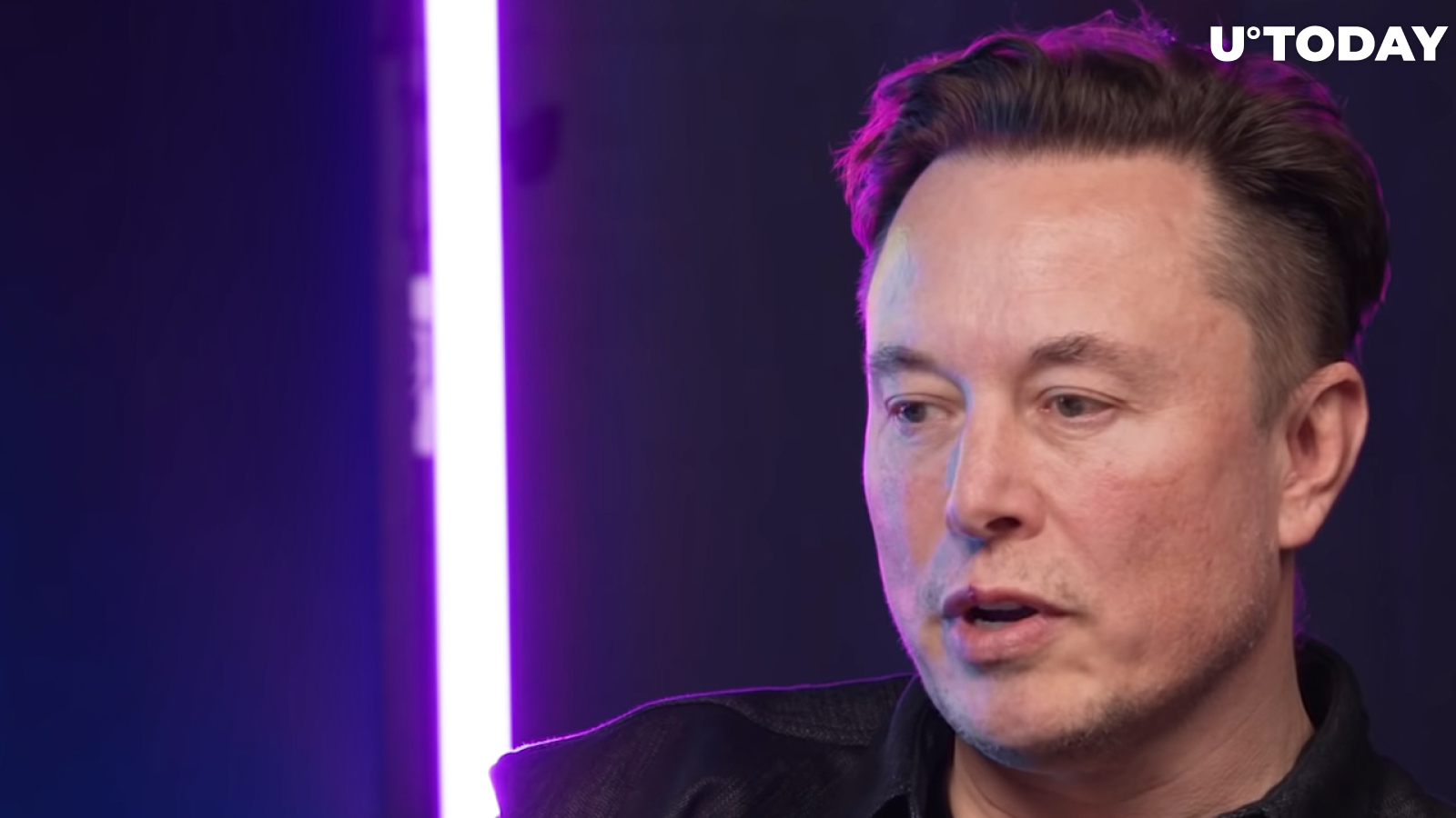 Elon Musk Trolls NFT Skeptics in Music Industry