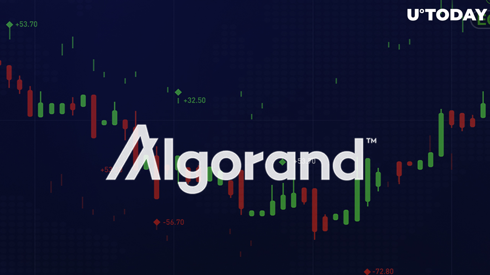 Algorand Spikes 15% on New Initiative, Plans to Share 2 Million ALGO Tokens