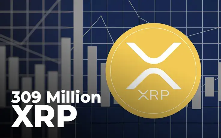 309 Million XRP Wired by These Leading Exchanges as 2021 About to Finish