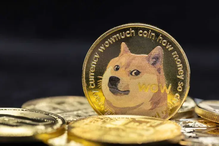 Dogecoin Large Transactions Increase by 10% Amid Market Dip