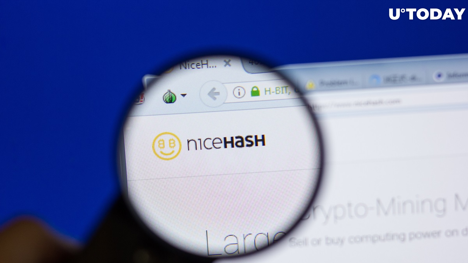 Shiba Inu Now Supported by NiceHash's Exchange