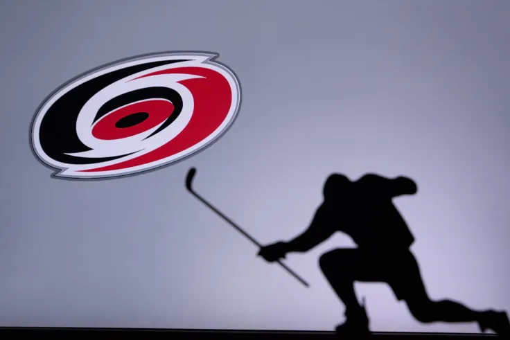 Shiba Inu to Be Accepted by Carolina Hurricanes