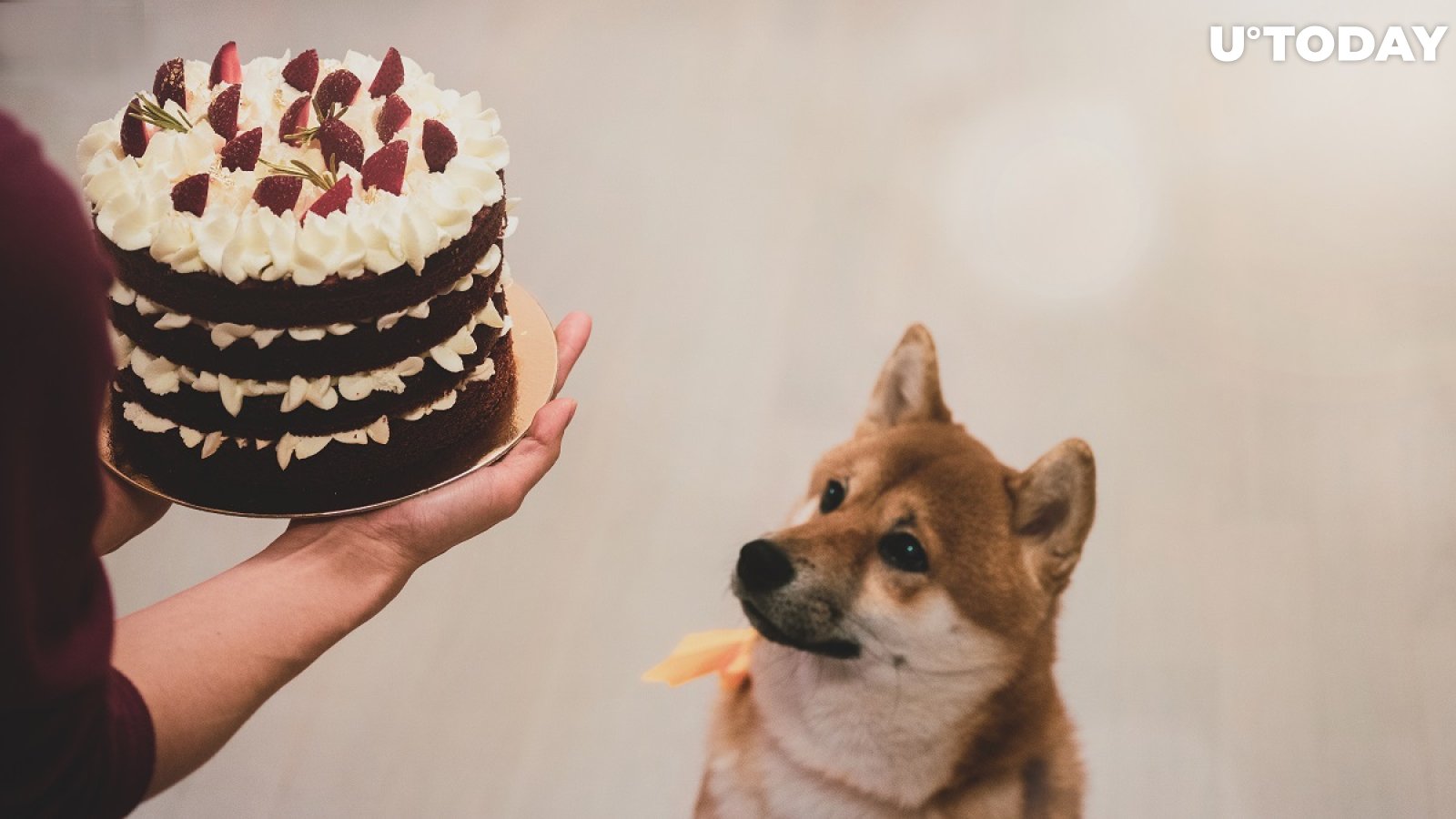 Dogecoin, Elon Musk’s Favorite Cryptocurrency, Turns 8. Here’s How It Has Performed This Year