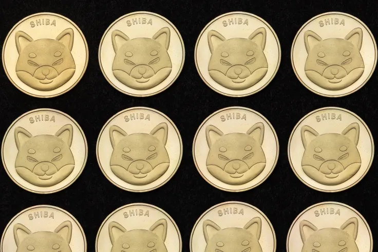 Dogecoin Killer Shiba Inu Has Become Mainstream, Says Mark Zuckerberg's Sister 