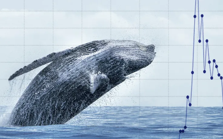 Top-Tier ETH Whales Scoop Up 838 Million LINK and 4 Million MATIC