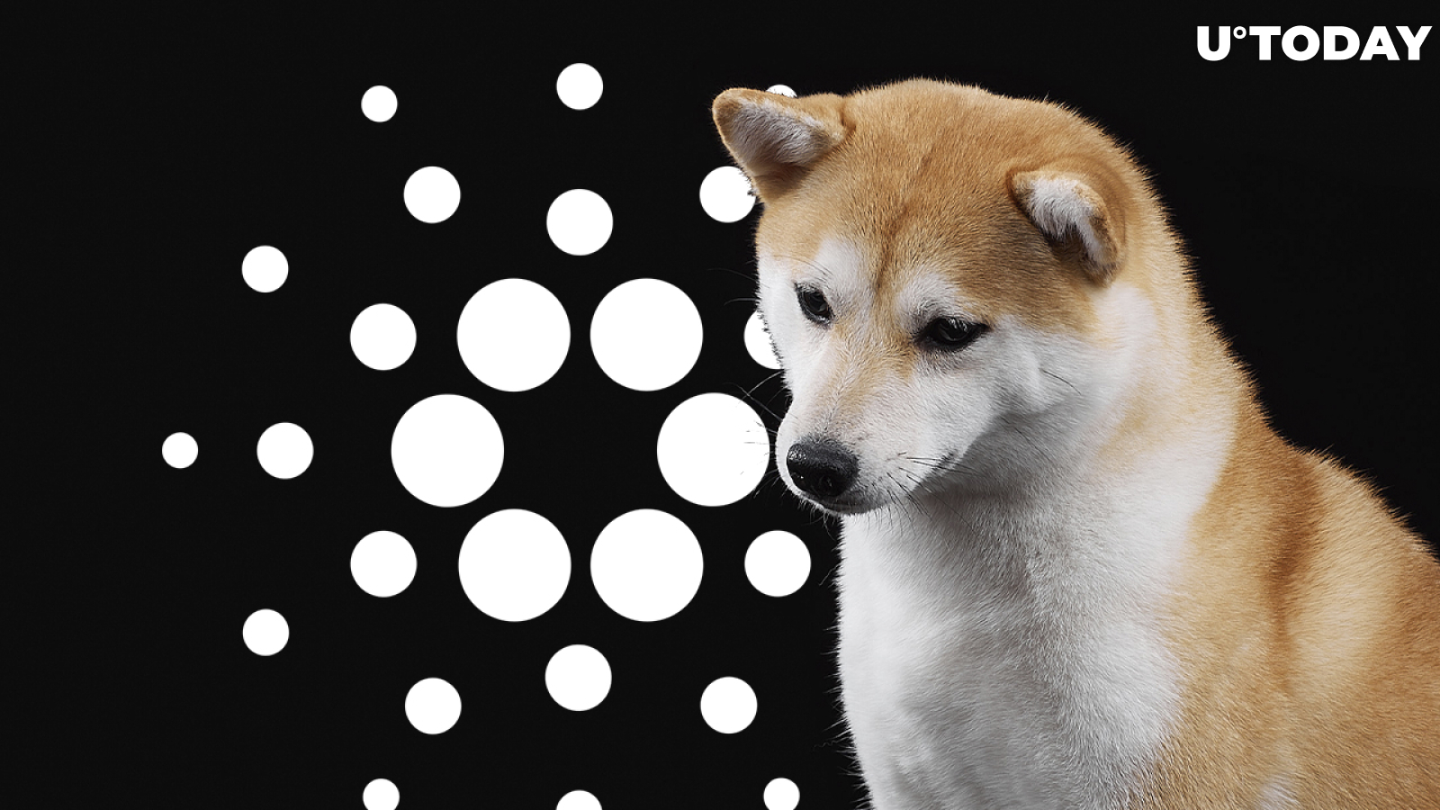 Shiba Inu, Cardano Present Buying Opportunity According to This Indicator
