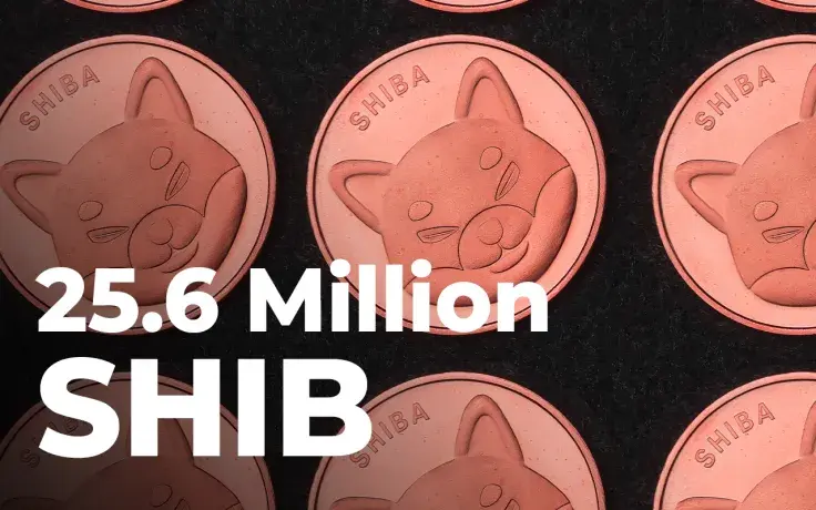 25.6 Million SHIB Gone in Last 24 Hours, Report Says