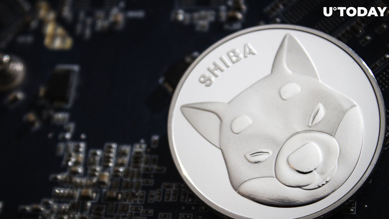 Shiba Inu Whales Held onto Tokens Despite Market Sell-off: Details