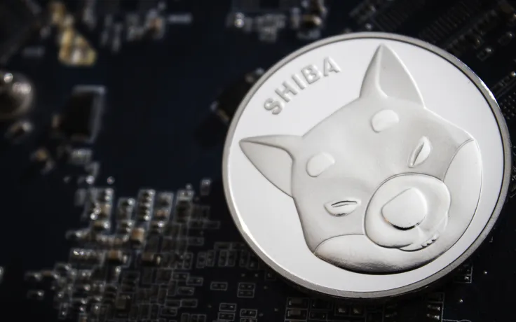 Shiba Inu Whales Held onto Tokens Despite Market Sell-off: Details