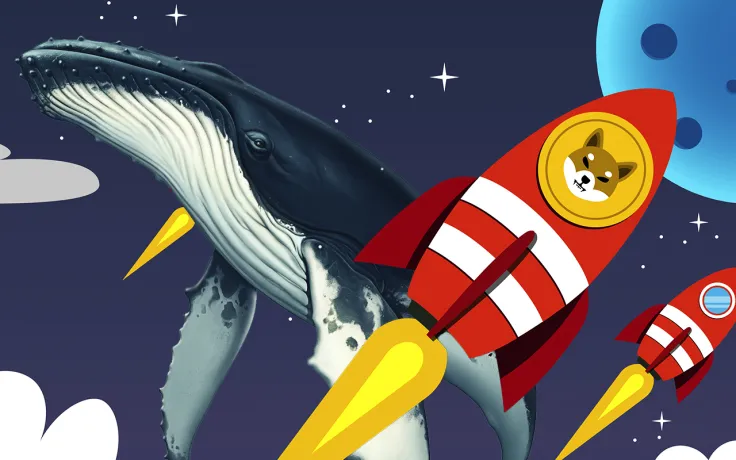 Shiba Inu Whale Address Activity Increases as Large Caps Going Through Sell-Off