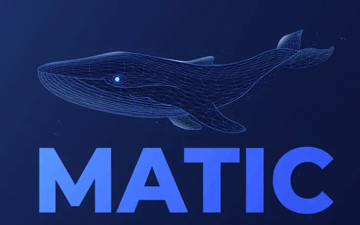 MATIC Whale Holding 20 Million Tokens Buys Extra $10 Million Worth