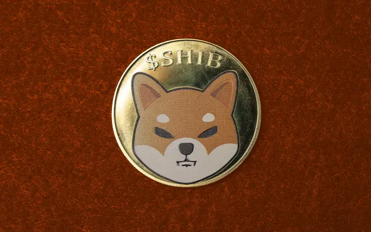 103.2 Million SHIB Burned in Single Transfer by This Company: Details