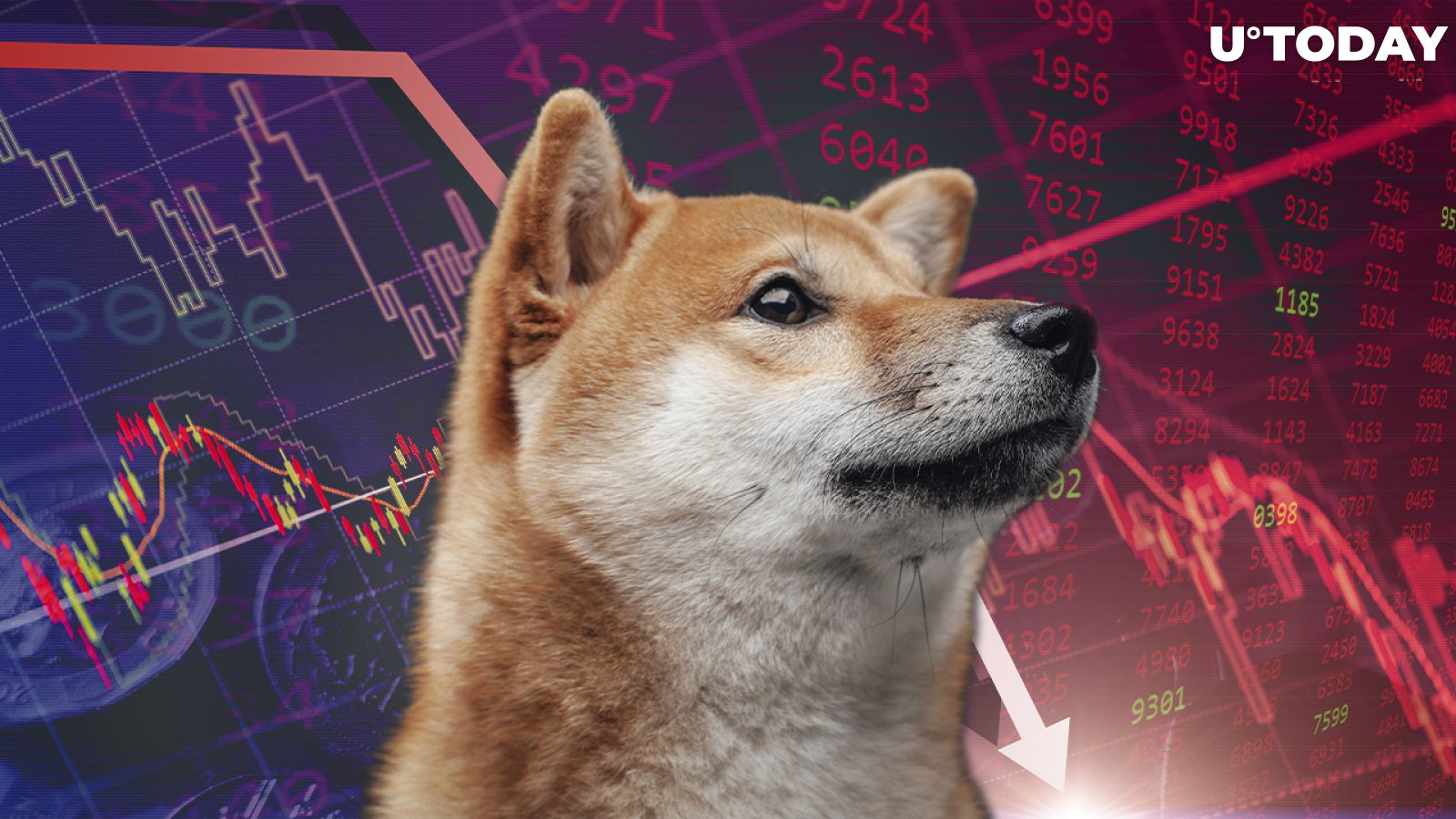 Shiba Inu Drops Below Dogecoin and AVAX on List of Top Coins and Tokens by Market Capitalization