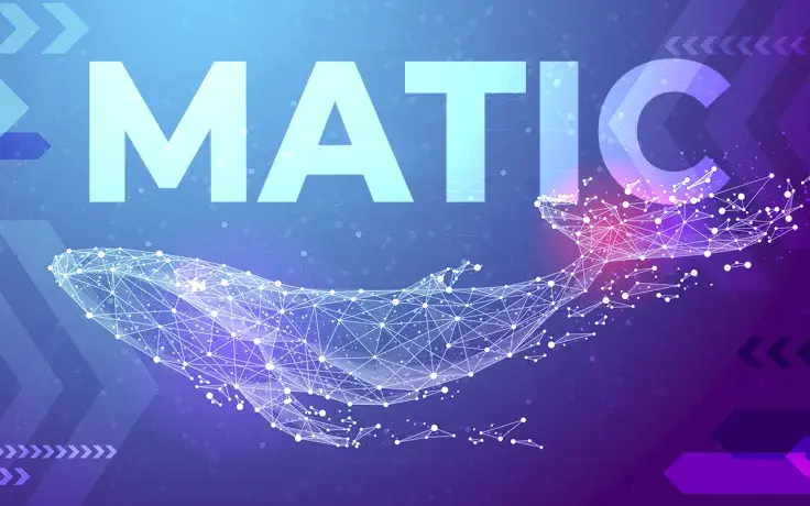 28 Million MATIC Bought and Sold by Whales Over Weekend
