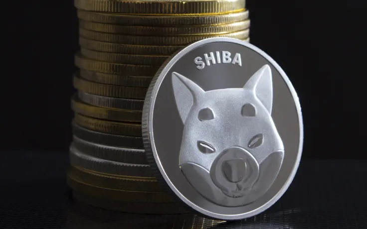 Shiba Inu (SHIB) Fully Retraces Late-October Rally
